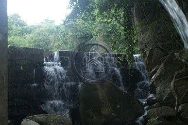 Imovel